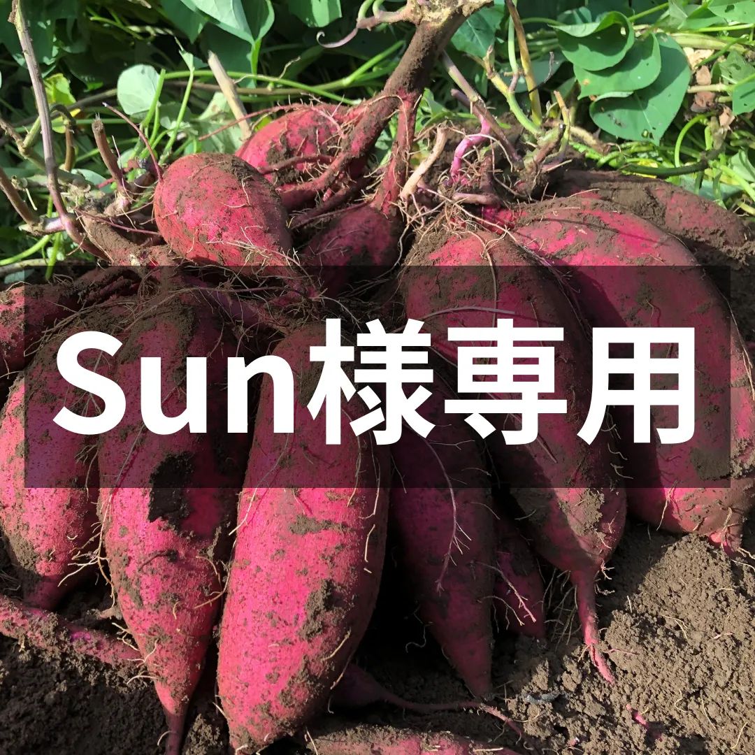 Sun様専用