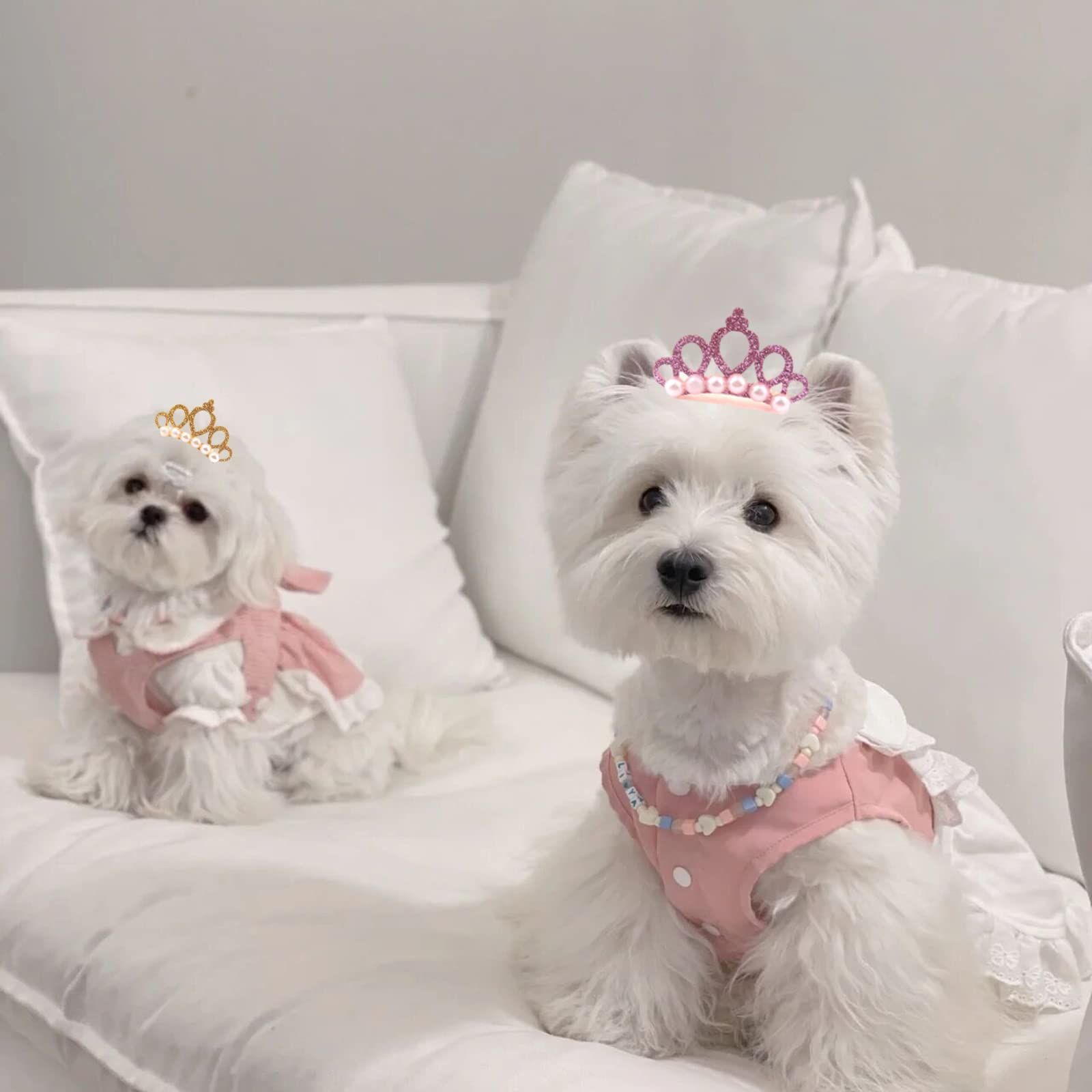 犬様ご確認用☆ベビーヘアクリップ Amazon.co.jp: Rippem8 犬 ヘアピン ヘアクリップ ヘアゴム ヘア