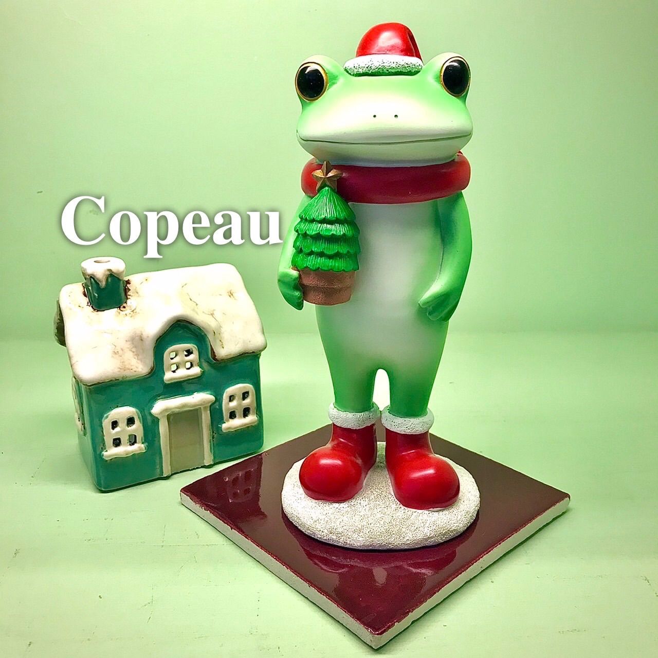 ダイカイコポー《Copeau》☆Christmas☆ガーデン クリスマス