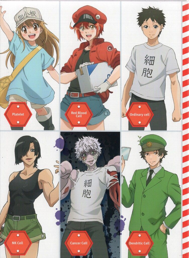 アニメBlu-ray 販売 BOX付)はたらく細胞!!全4巻セット 全巻収納BOX