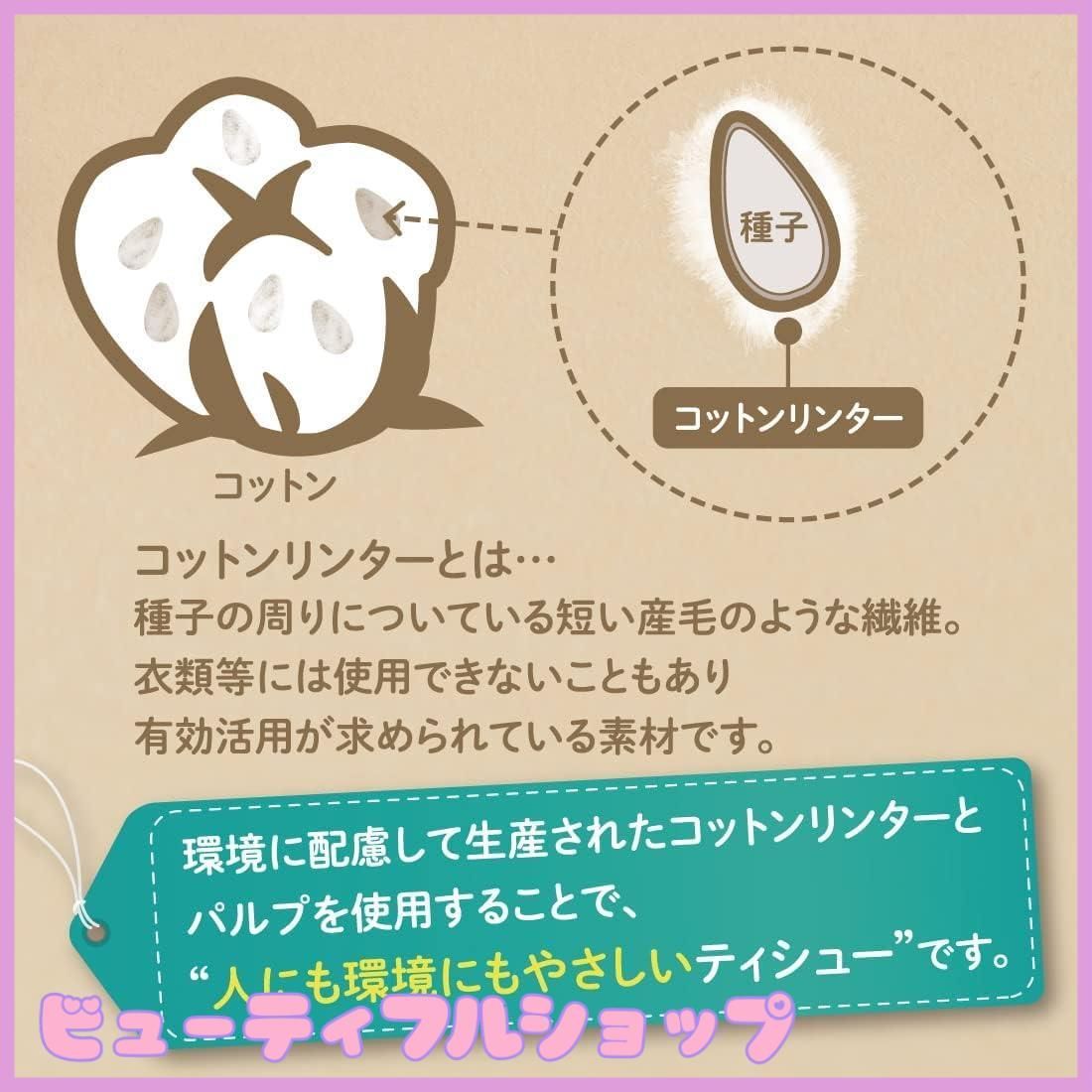 パルプ