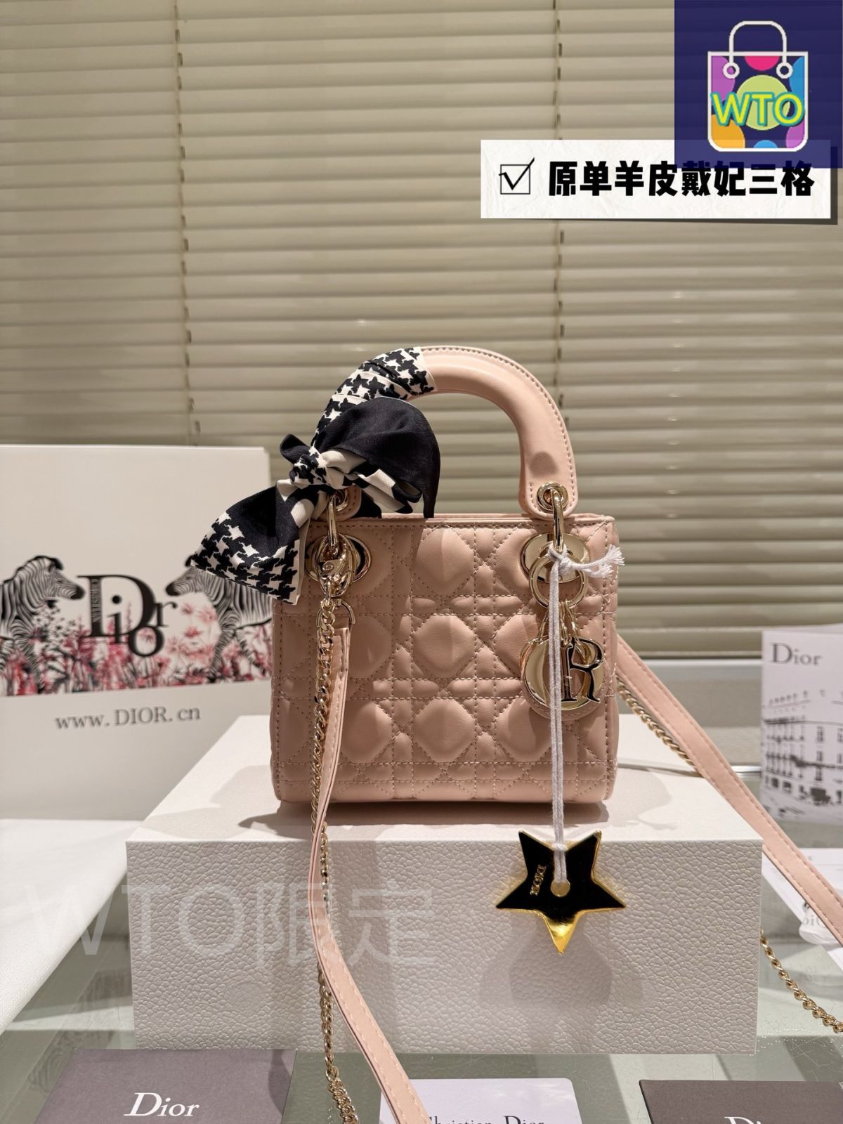今日特価】Dior Lady Dior 羊皮ミニバッグ 17cm 高品質版 - メルカリ