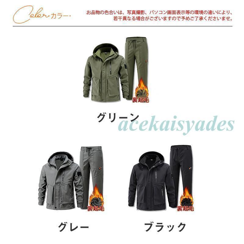 レディース 上下セット
