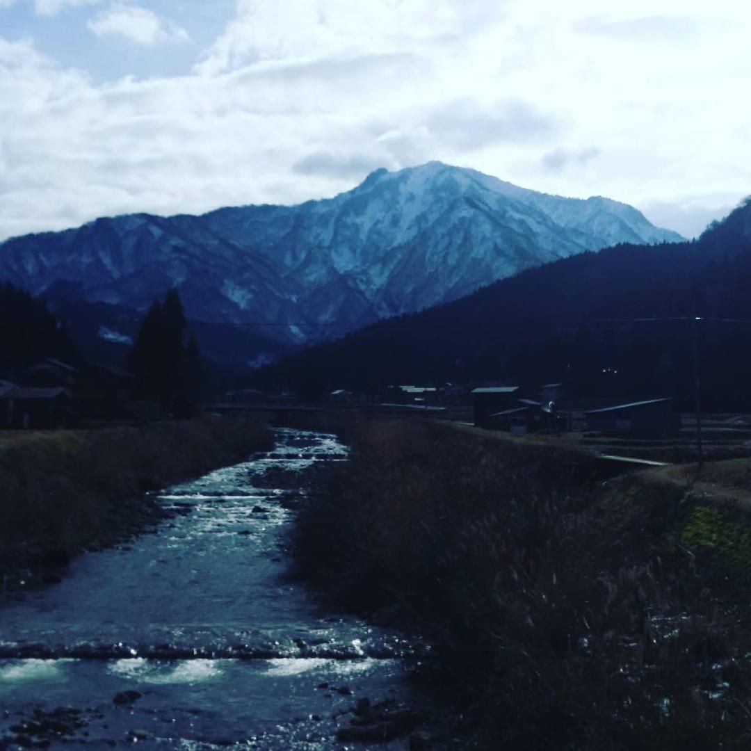 よもぎ ヨモギ粉末 40グラム×1袋 新潟県能生谷産 - その他