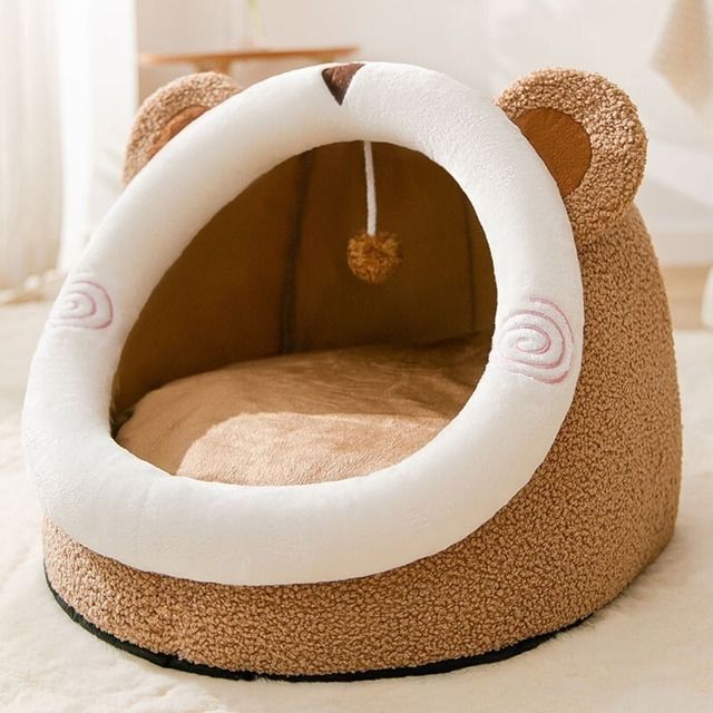 子猫