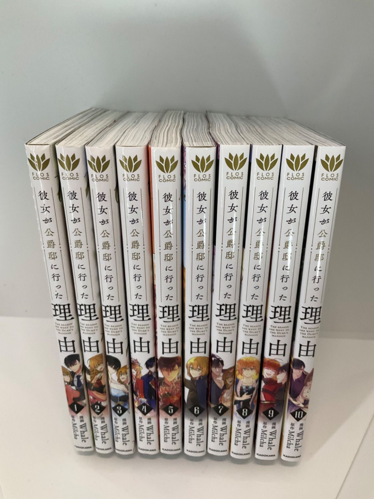 彼女が公爵邸に行った理由 1～10巻 特典付き 彼女が公爵