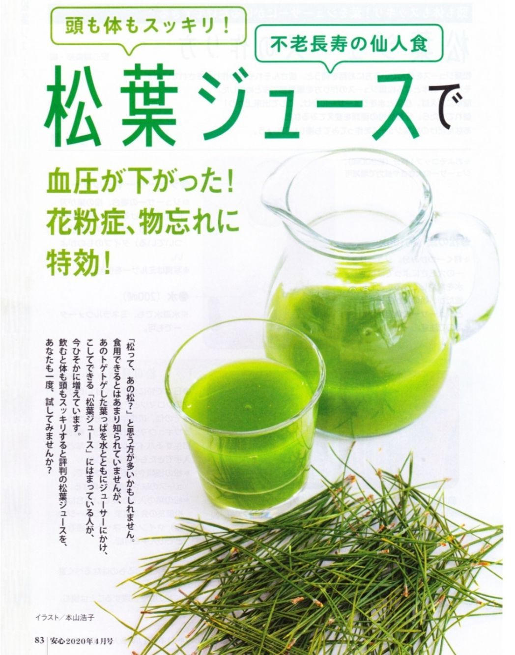 天然赤松の葉