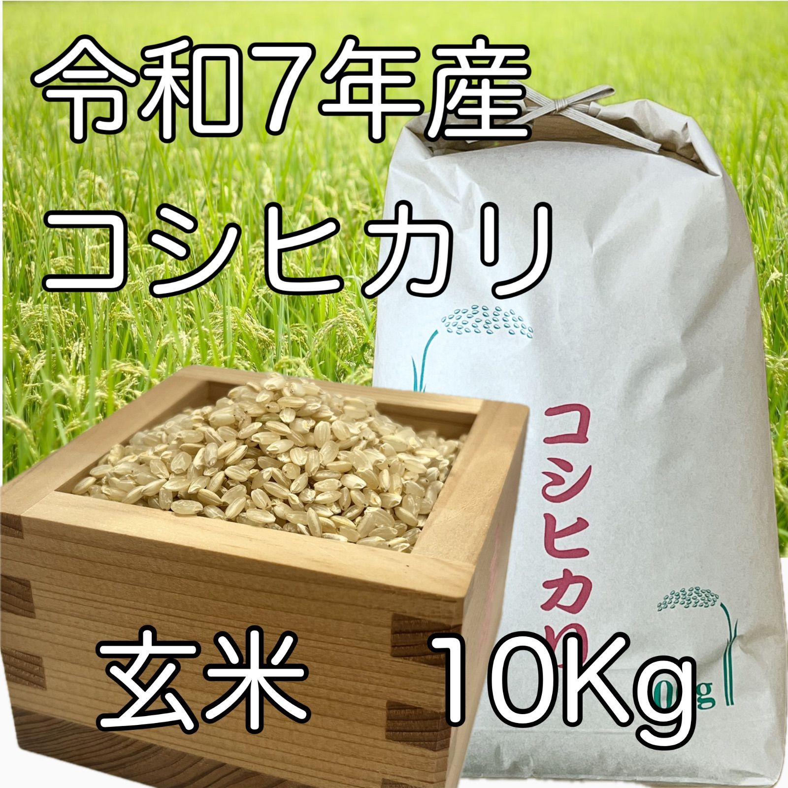 令和6年度 新潟県産 コシヒカリ10キロ 玄米
