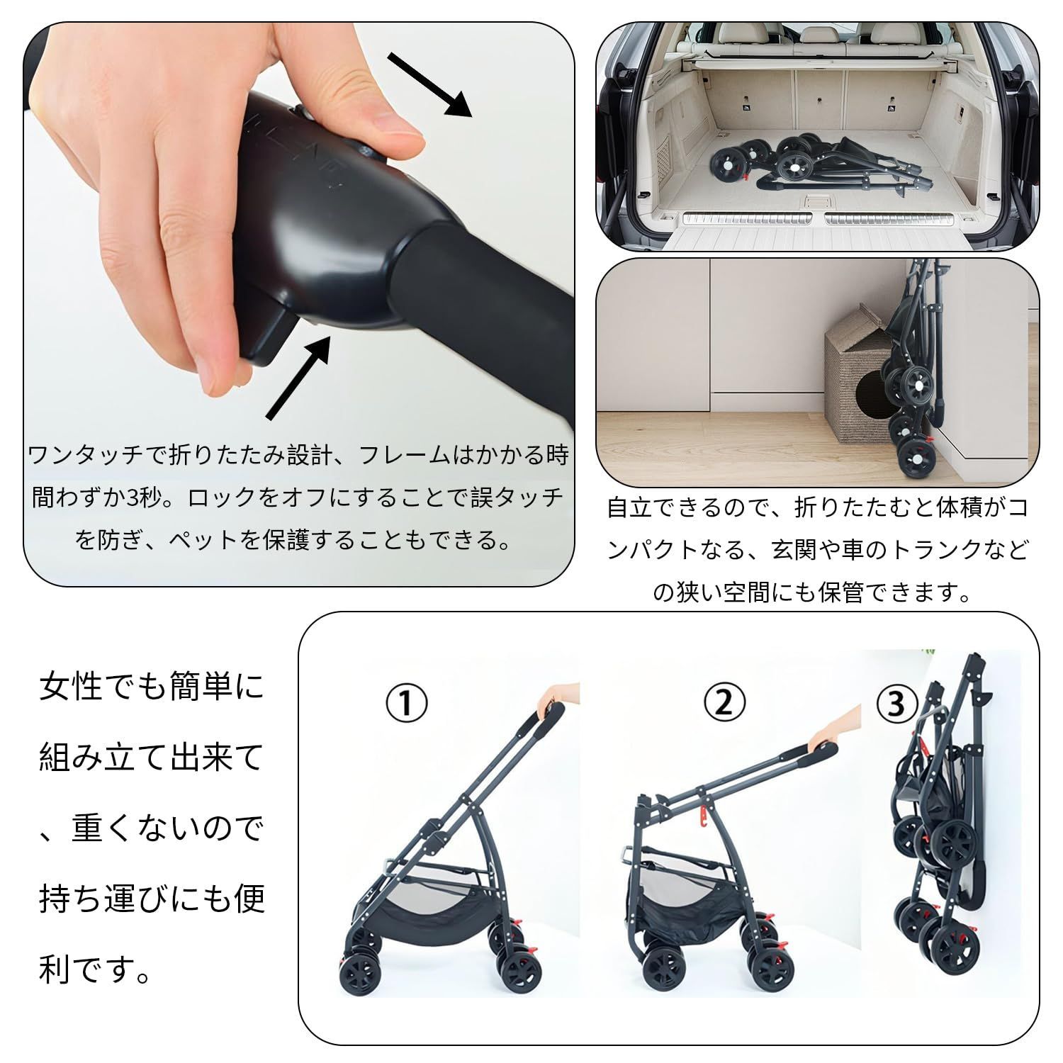 小型犬 中型犬