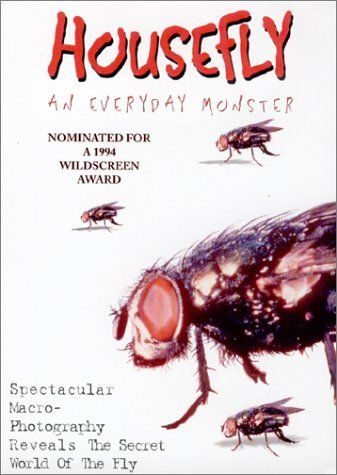 Housefly: Everyday Monster [DVD](品)