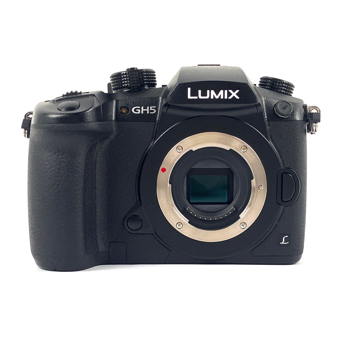 パナソニック Panasonic LUMIX DC-GH5 ボディ デジタル ミラーレス 一眼カメラ
