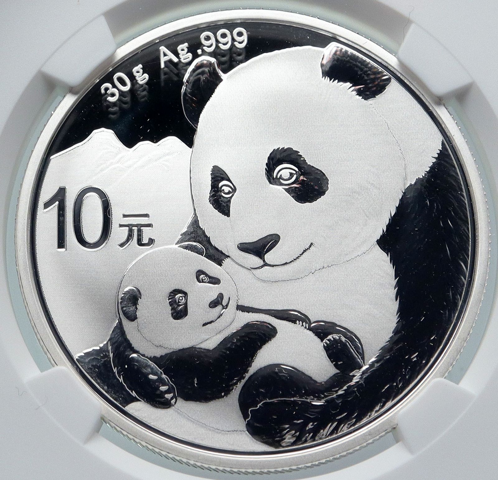 2019 CHINA PANDA MOM w CUB Genuine Silver 10 Yuan Chinese Coin NGC MS70 i85713