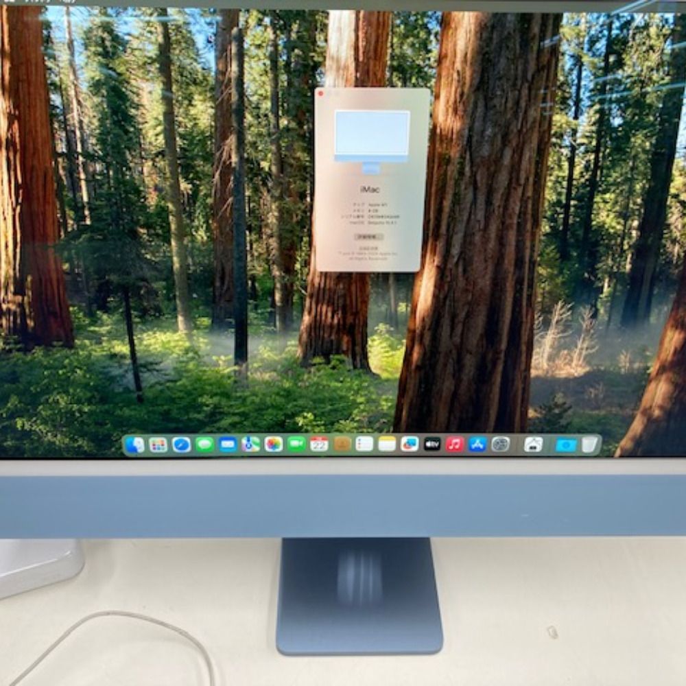 Apple (アップル) Mac 24インチ iMac Retina 4.5Kディスプレイモデル