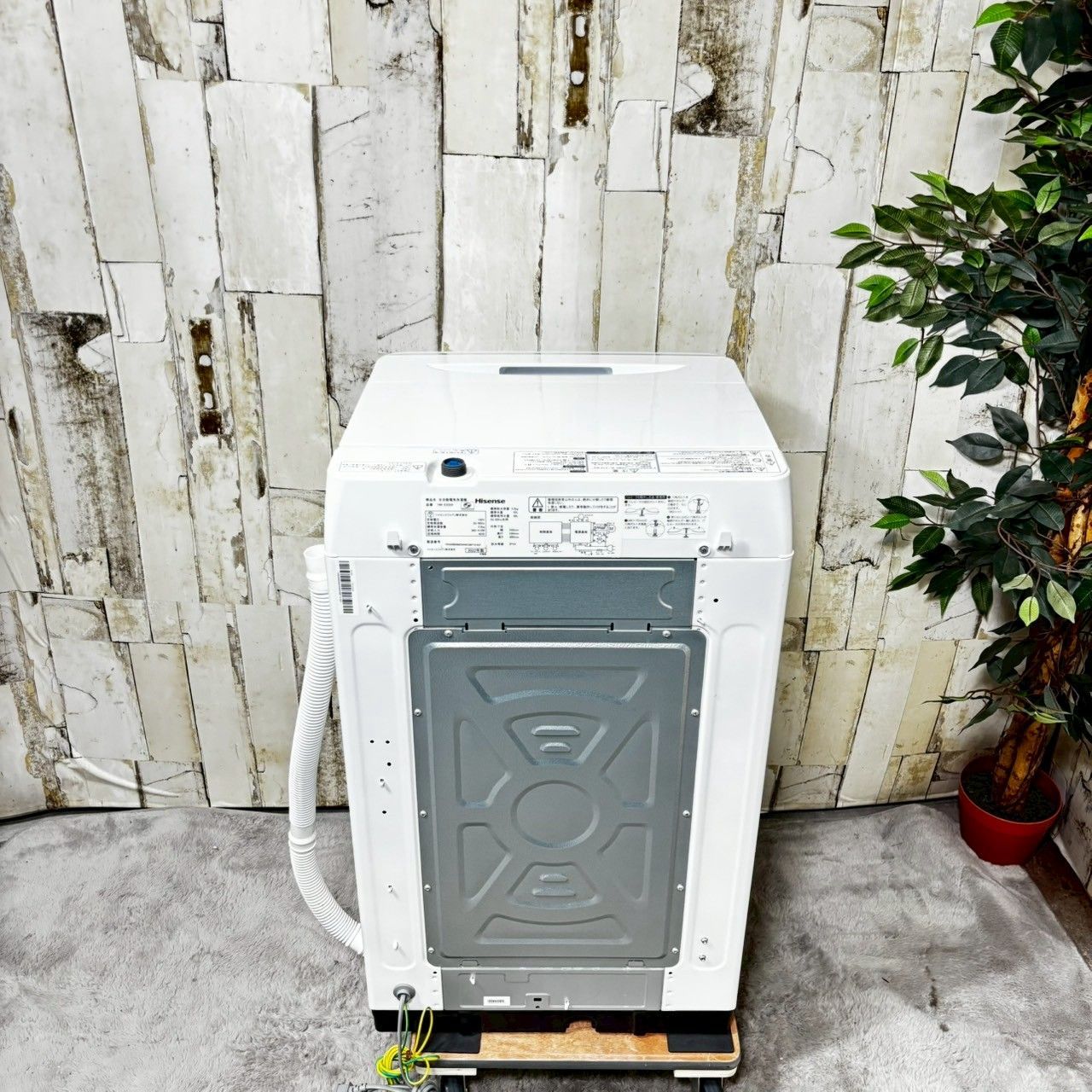 2022年製】 Hisense ハイセンス HW-E5504 洗濯機 5.5kg 【公式通販】