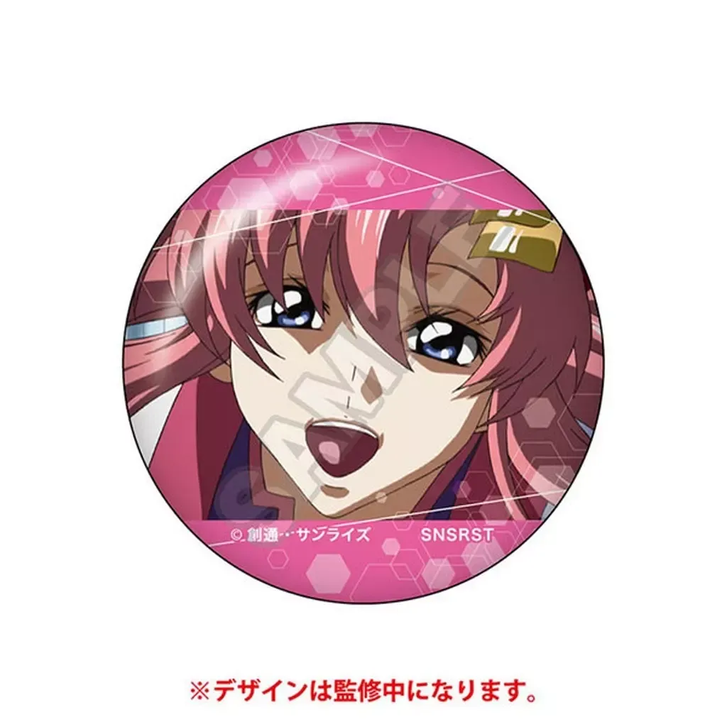 ガンダムSEED ラクス　ハロウィン　正月　缶バッジセット ガンダムSEED ラクス ハロウィン 正月 缶バッジセット 缶バッジ