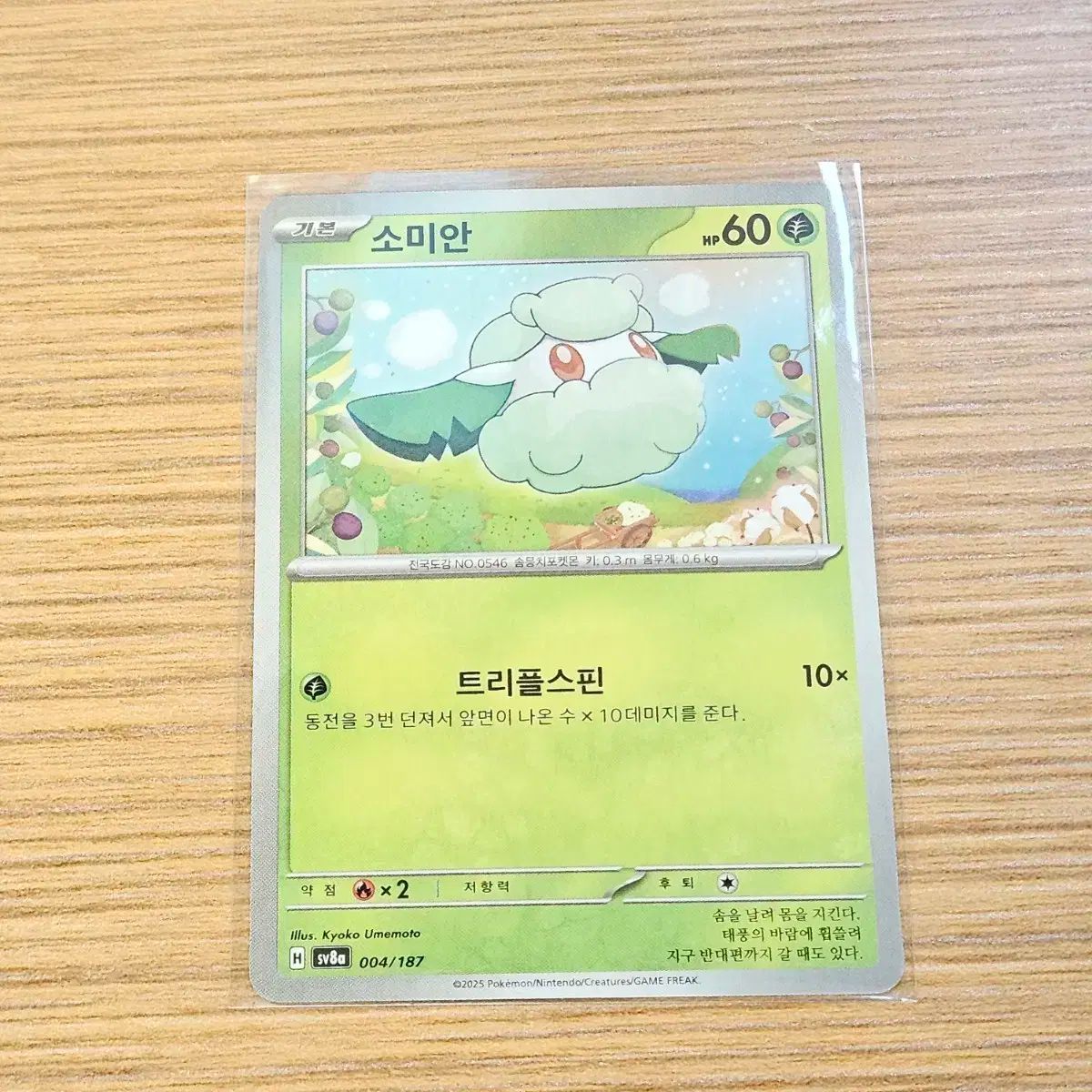 韓国版イーブイex SAR スカーレット&バイオレット ハイクラスパック 韓国版イーブイex SAR スカーレット&バイオレット ハイクラスパック