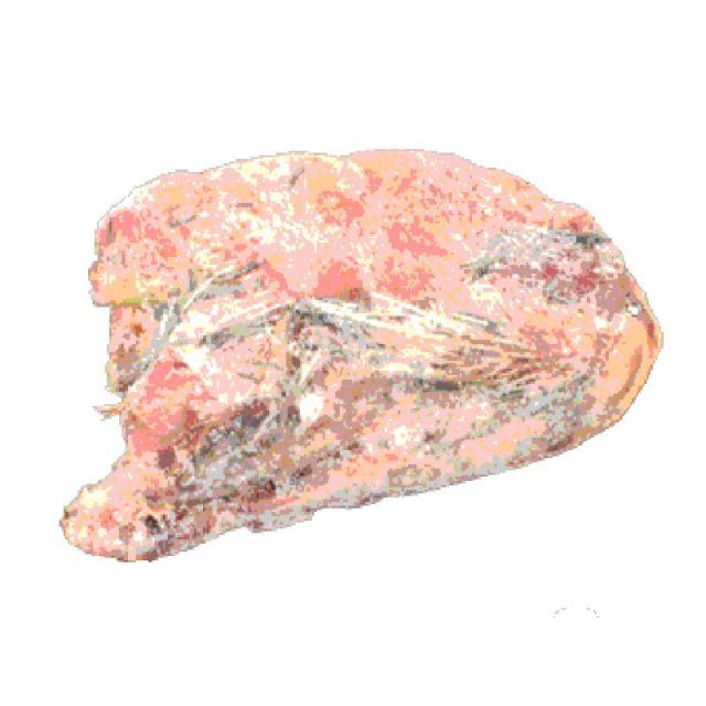 冷凍ウズラ 30羽 冷凍ウズラ（16）の販売情報です（1ページ目）