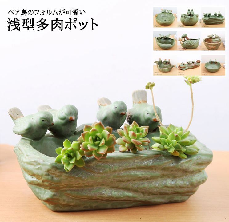 vase443 ★（予約販売の商品） 植木鉢 プランター カエル 小鳥 多肉ポット 盆栽鉢植え 植木鉢 花瓶 インテリア置物 サボテン鉢