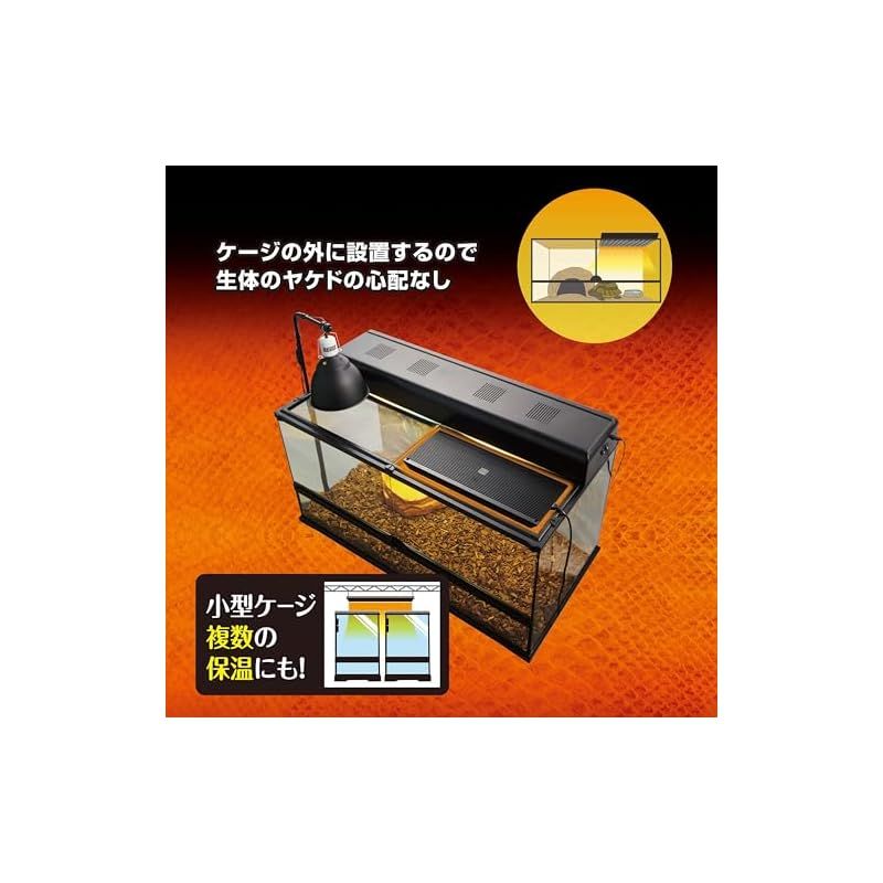サイズ 0