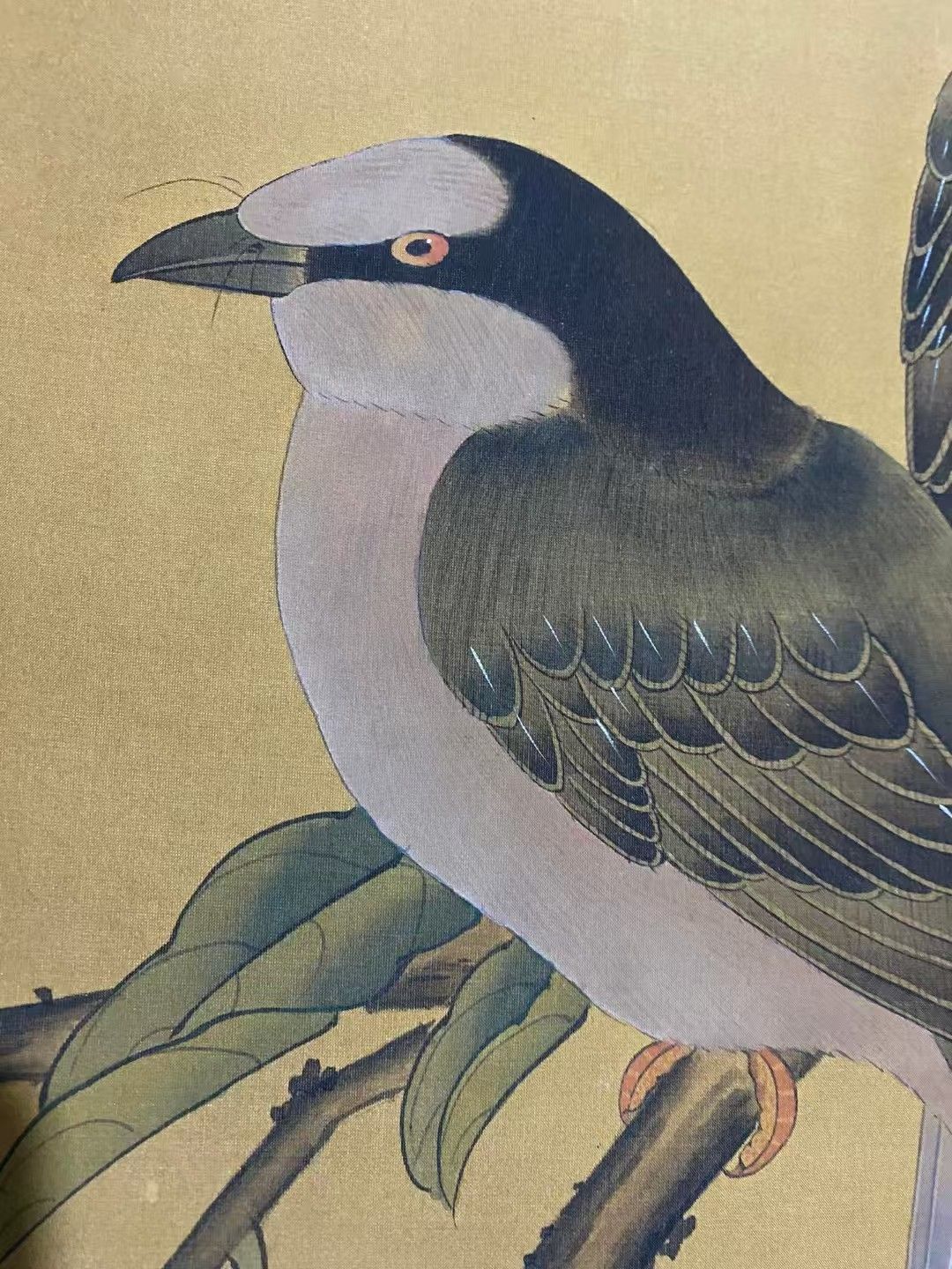 日本画家 杉山苔径 大正時期花鳥画美術品 古美術 骨董 江戸 日本骨董 美術品 中国古美術.精品三尺中堂画.恽寿平花鳥画.手描き作品.実物撮影
