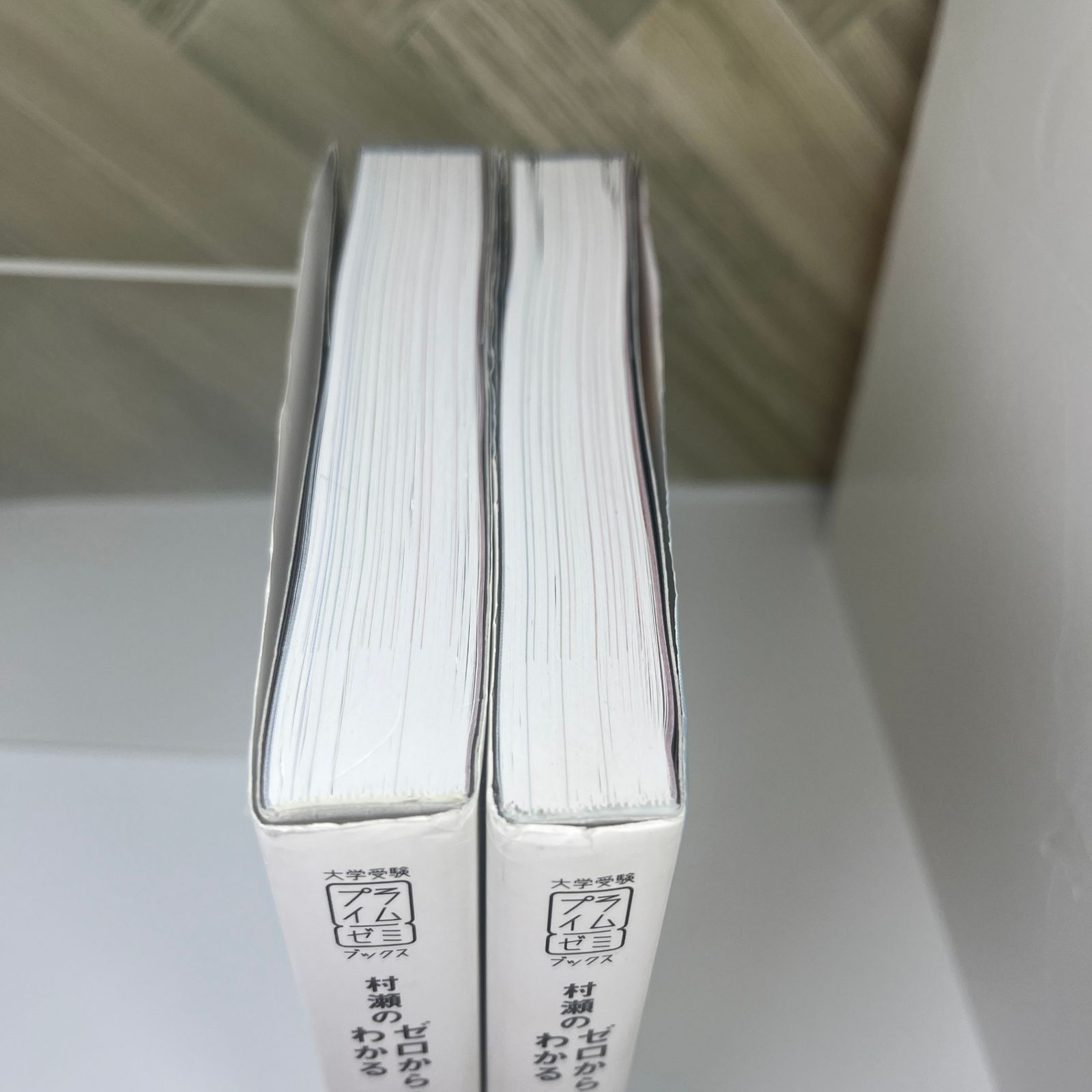 No.51 【良品】村瀬のゼロからわかる地理B 地誌編 系統地理編