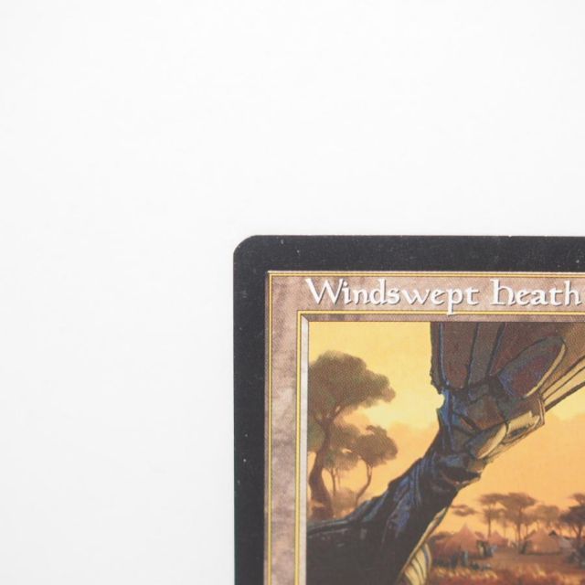 MAGIC The Gathering MTG 吹きさらしの荒野/Windswept Heath