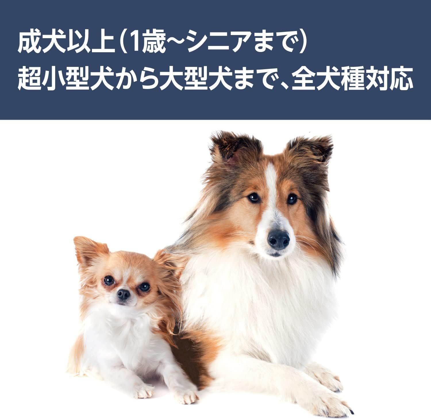 グレインフリー ドライ ドッグフード 成犬用 食物アレルギーに配慮 4.4kg (400g×11袋) 【国産/総合栄養食】