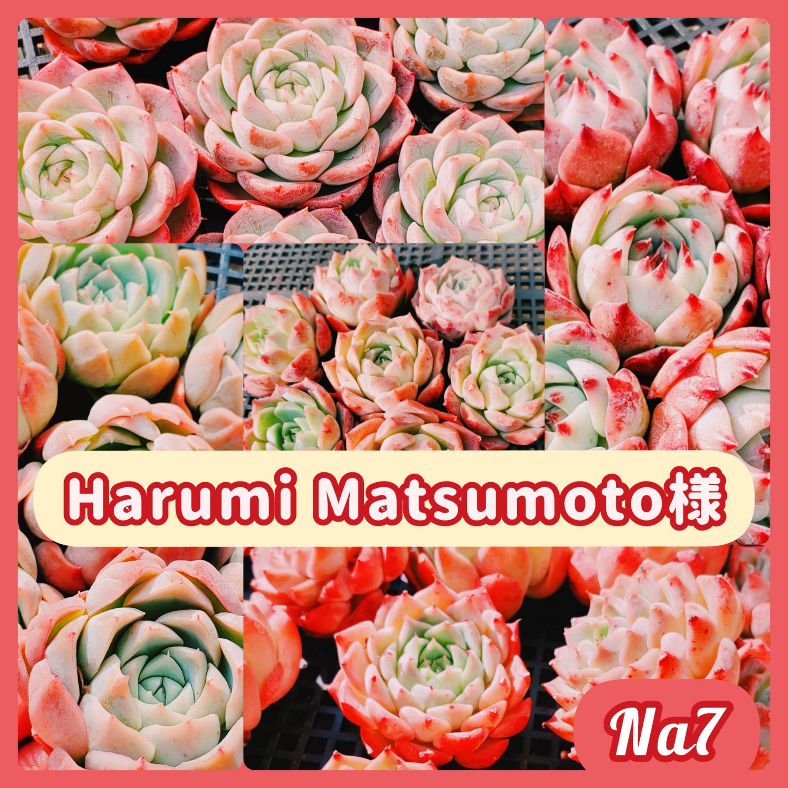 メルカリSHOP】Harumi Matsumoto様 - メルカリ