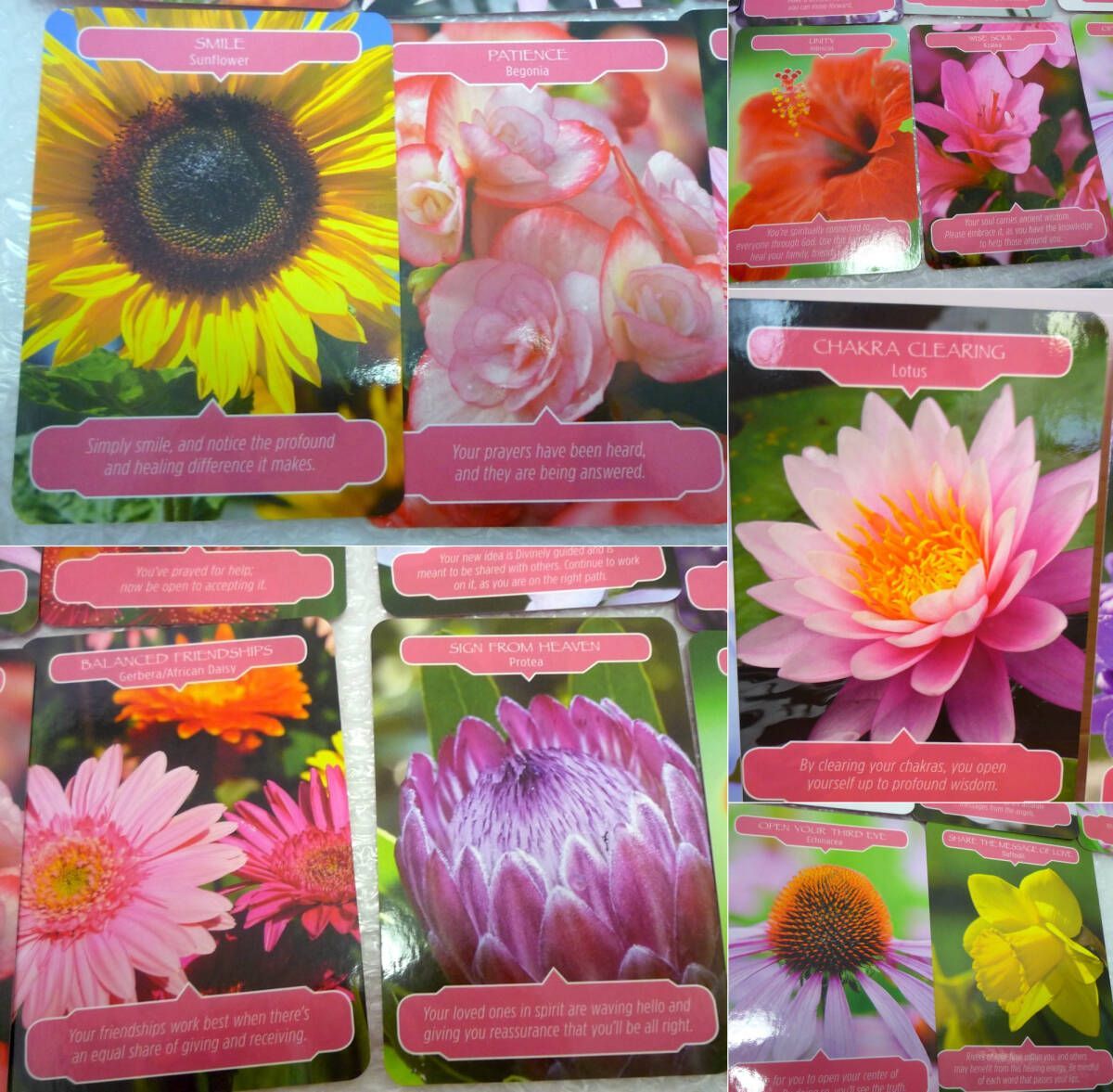 フラワーセラピー オラクルカード マニュアル付 ドリーン