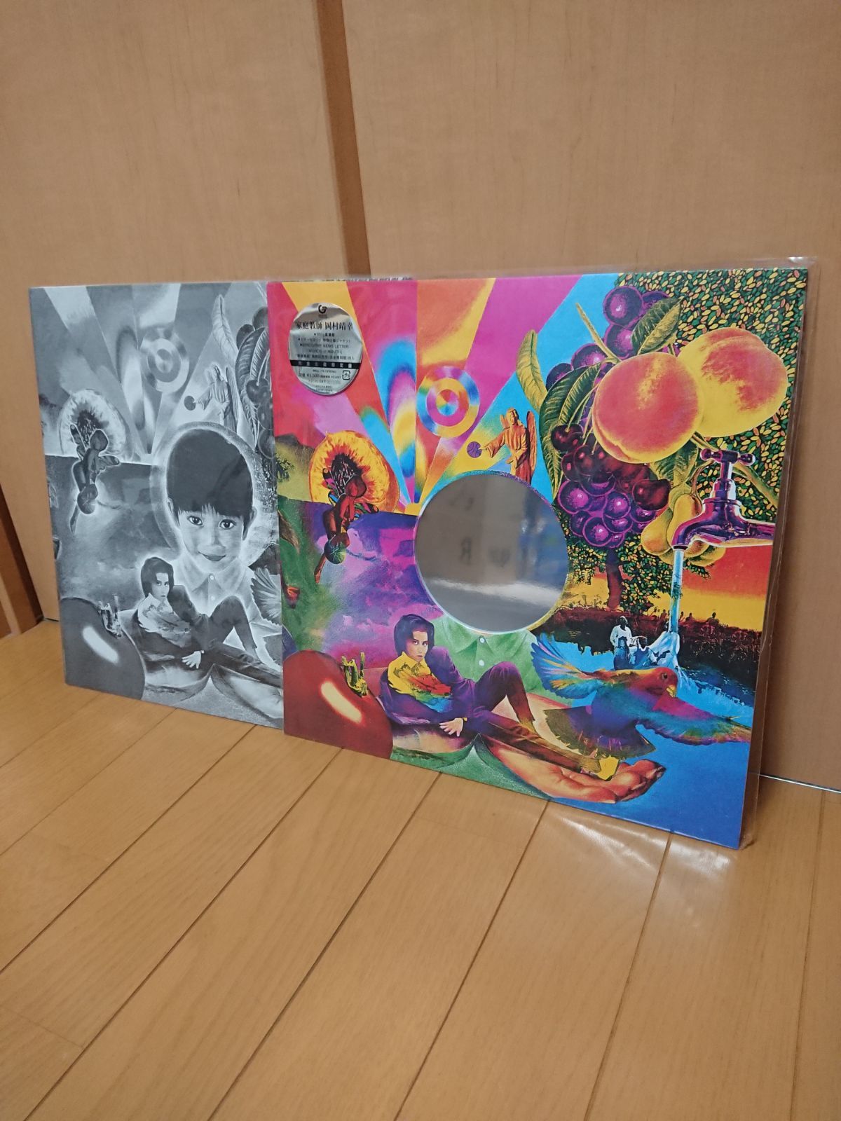 岡村靖幸 LPレコード 家庭教師 特製スリーブケース付 岡村靖幸『家庭教師』がアナログ化！｜五辺宏明