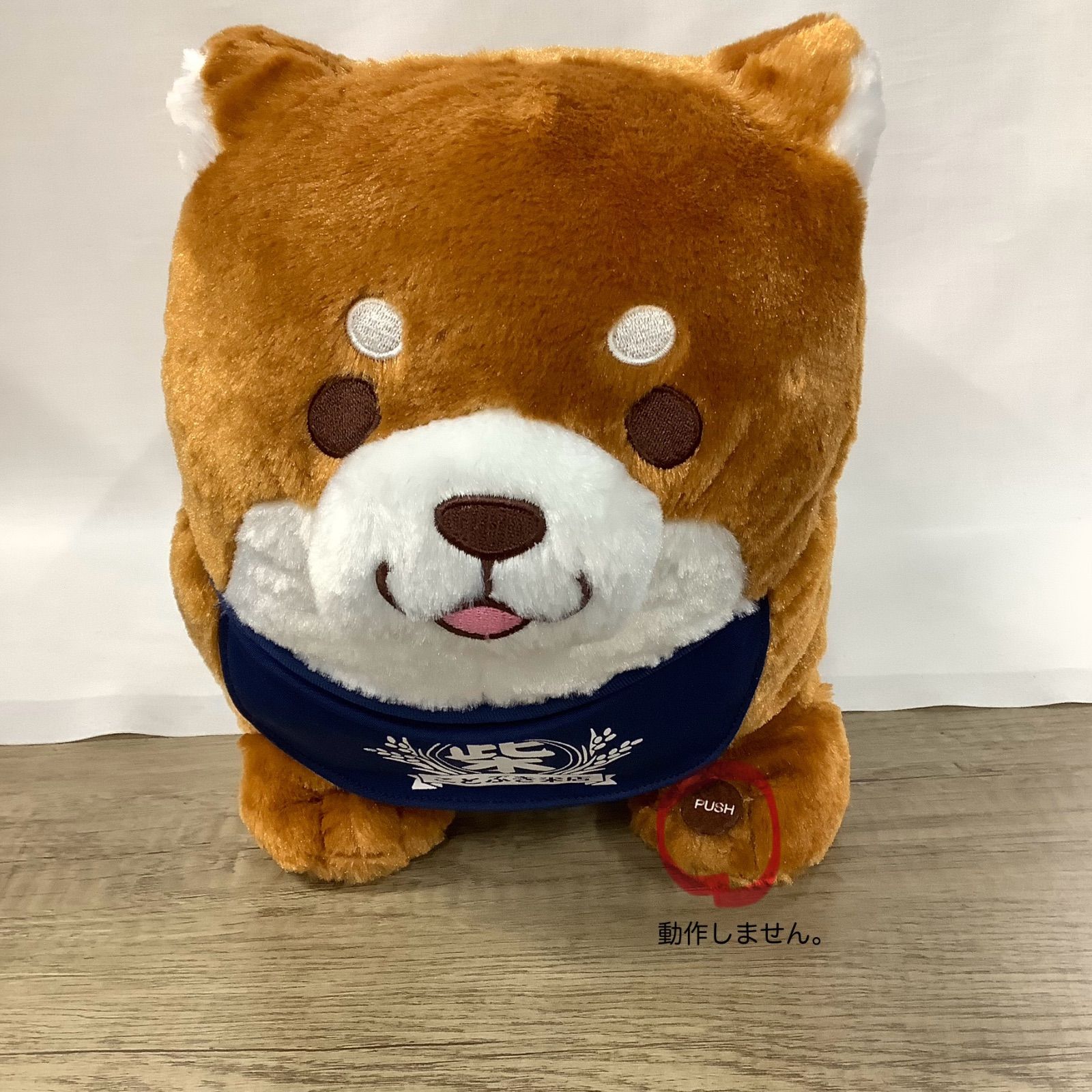 忠犬もちしば おかか 柴犬 ぬいぐるみ BIG 大きい 可愛い 白