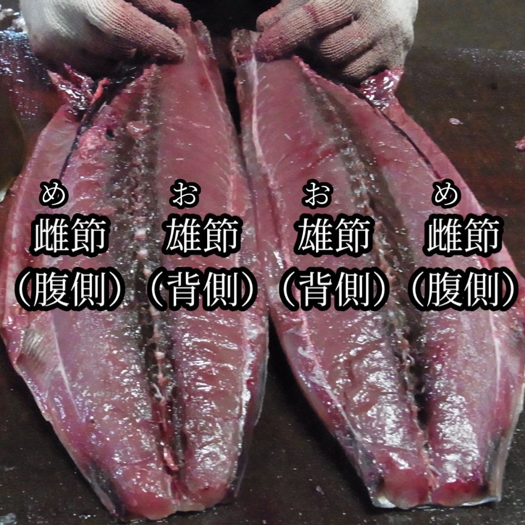 鰹箱