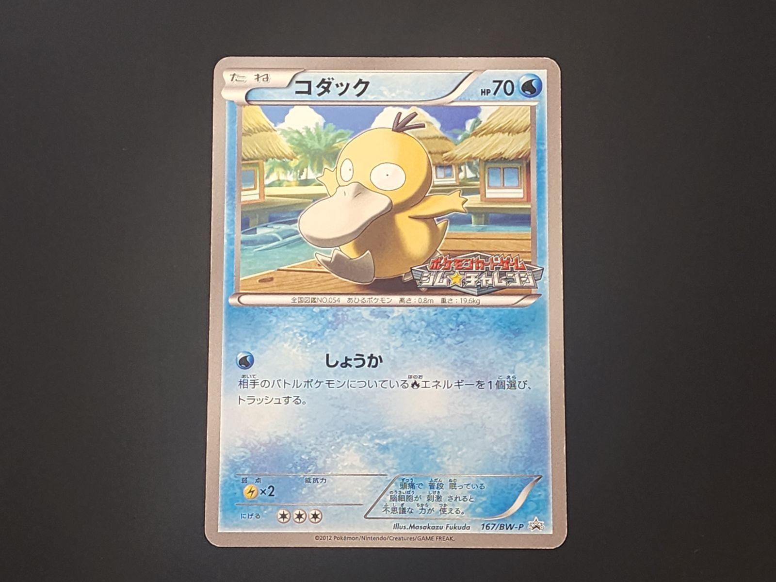 チャレンジ 商品説明文