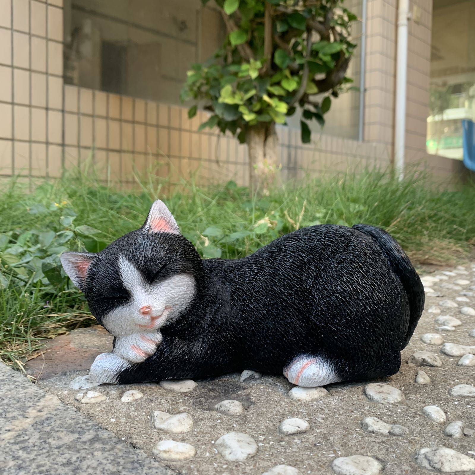 ハチワレ猫様 ハチワレ猫ぽんたと過ごした1114日 | 宮脇灯子 |本 | 通販 | Amazon