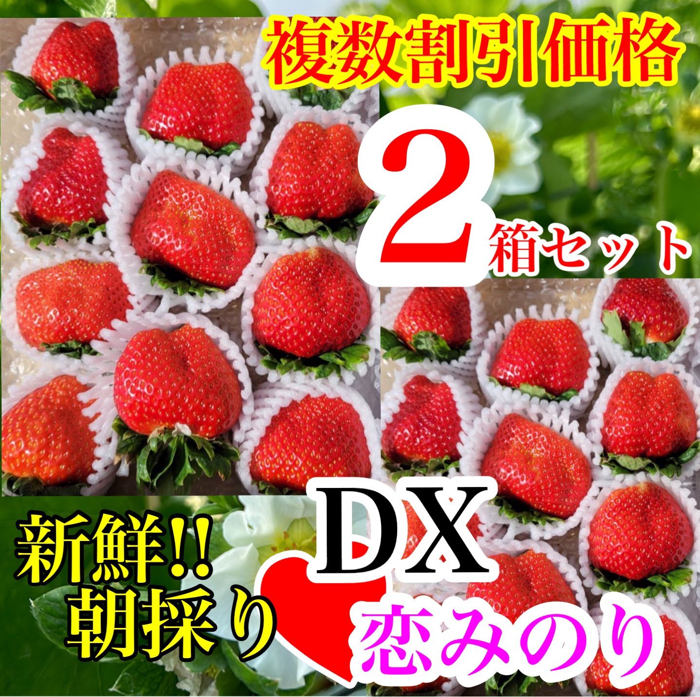 常温☆DX恋みのり 2箱セット ☆かんちゃん農園の甘いいちご - メルカリ
