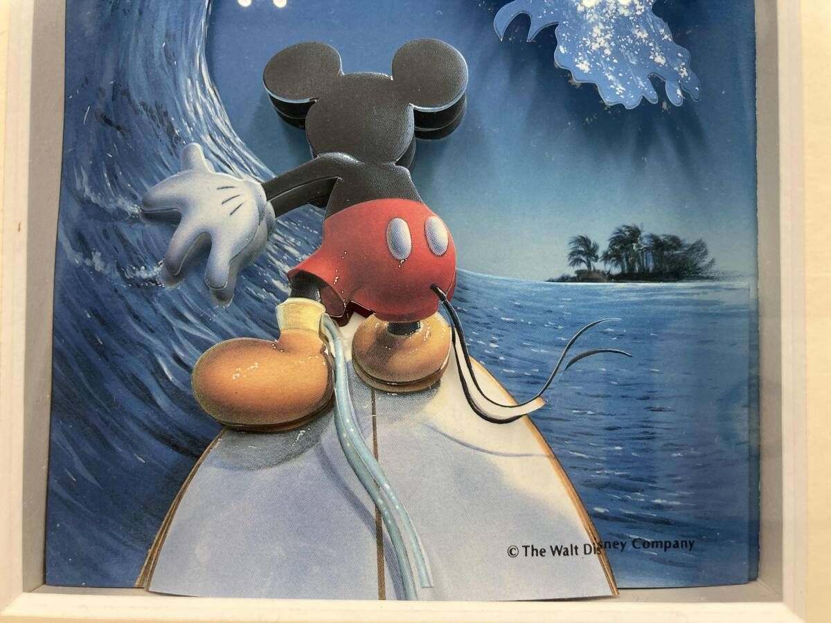 ディズニー ミッキーマウス ディズニーキャラクターズ サーフィン