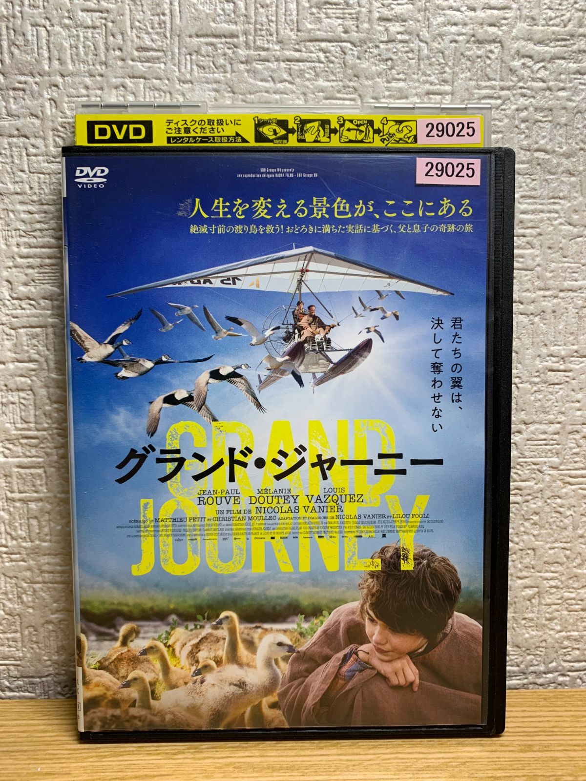 グランド・ジャーニー [DVD] グランド・ジャーニー DVD - メルカリ