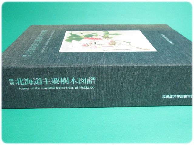 覆刻 北海道主要樹木図譜 外箱付き　美品本体　1984年発行 メルカリ