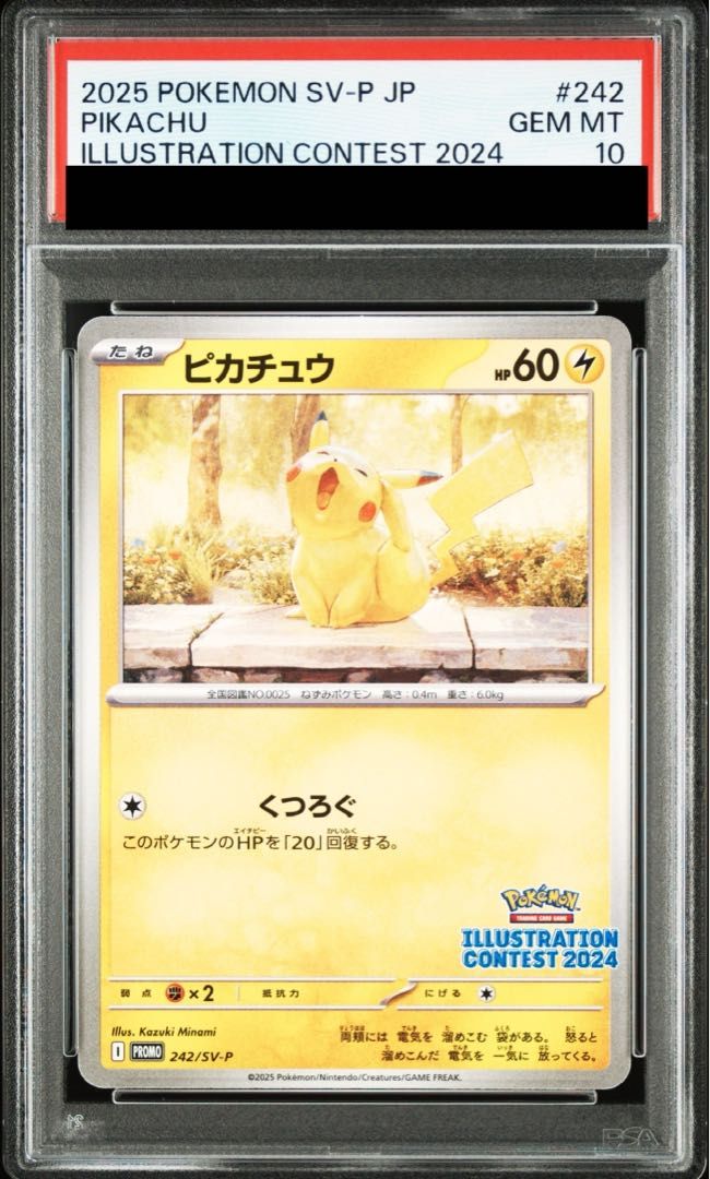 ピカチュウ プロモ ［PROMO 242/SV-P］イラストレーション 2024 Pikachu 242/SV-P PROMO Illustration Contest 2024 Pokemon Card