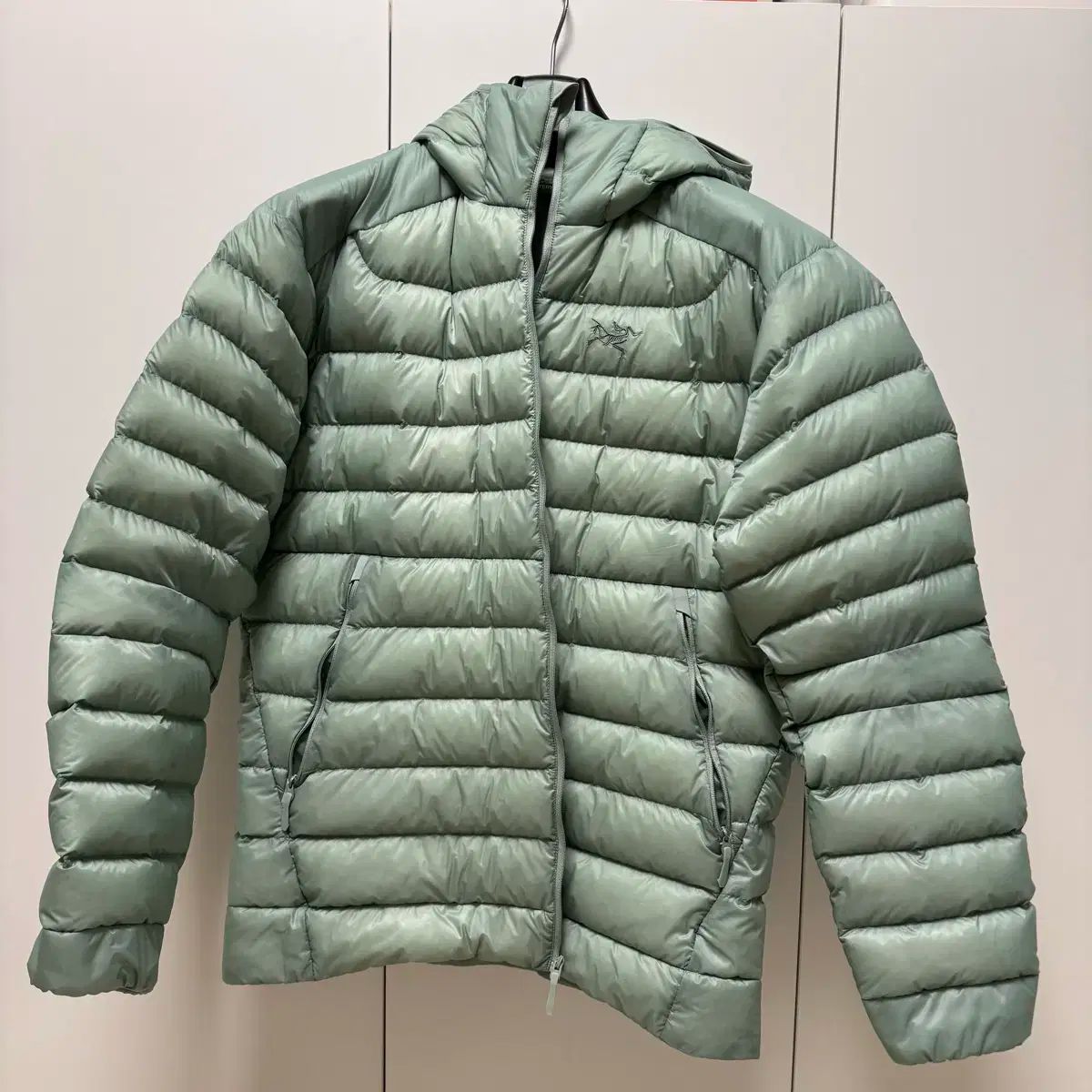 アークテリクス セリウムフーディ ストーングリーン L