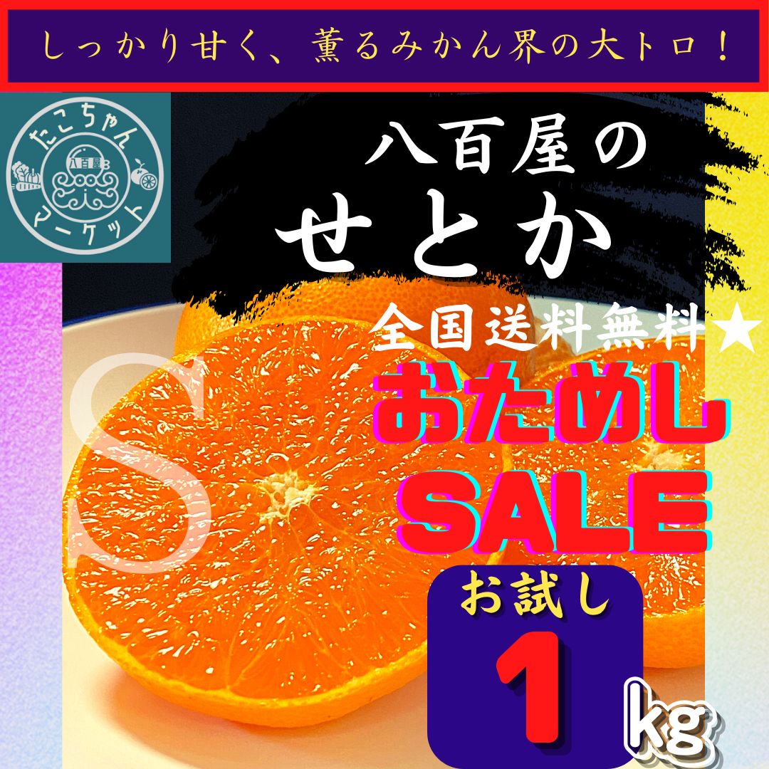 最安☆濃厚小玉！12個入り☆愛媛産 人気の【せとか】を体験☆ 1Kg