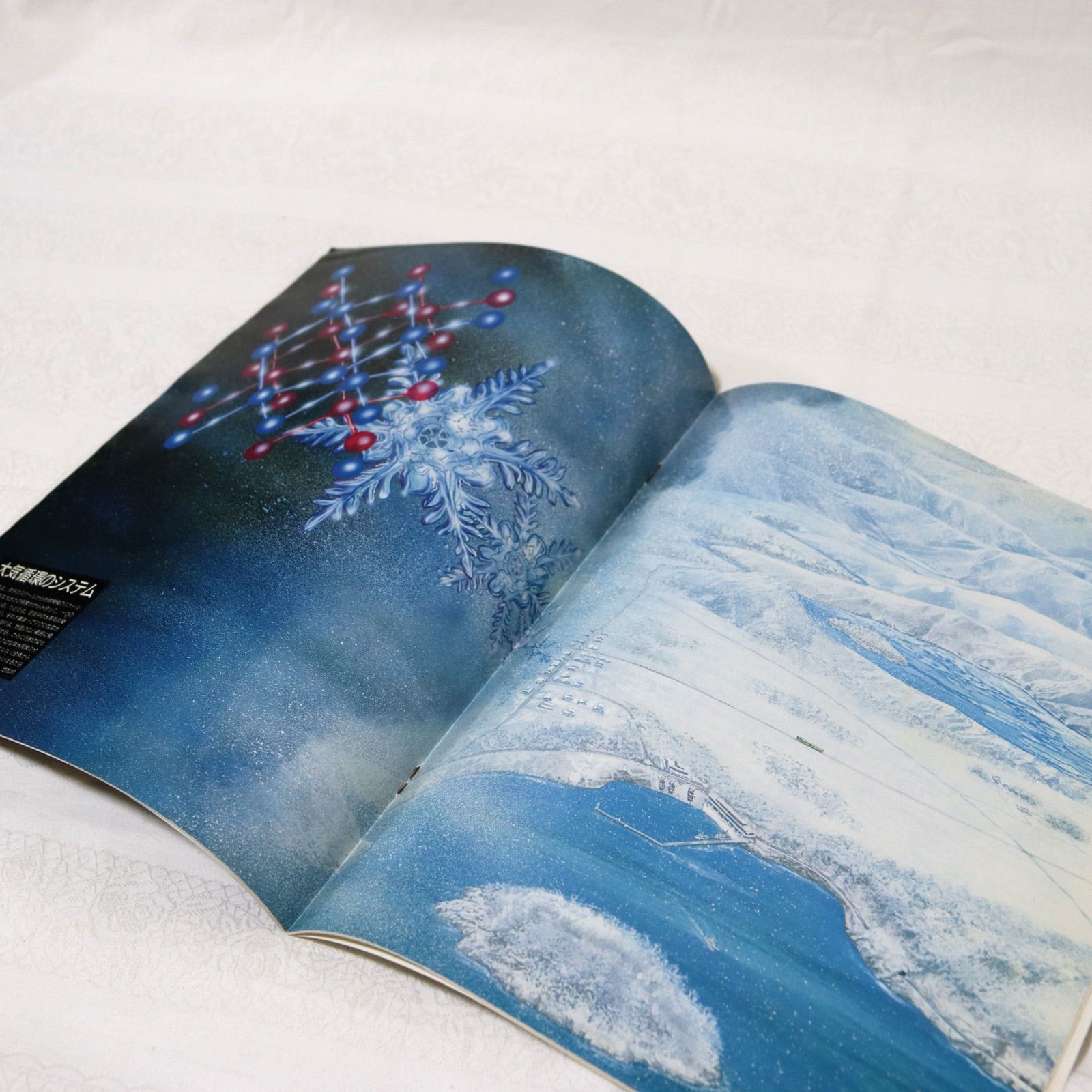 週刊朝日百科 動物たちの地球59 - メルカリ