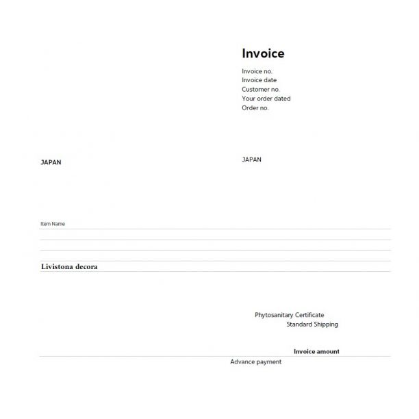 3月入荷 100粒 バオバブ アダンソニア ディギタータ 種 種子 証明書あり0 3月入荷 100粒 バオバブ アダンソニア ディギタータ 種 種子