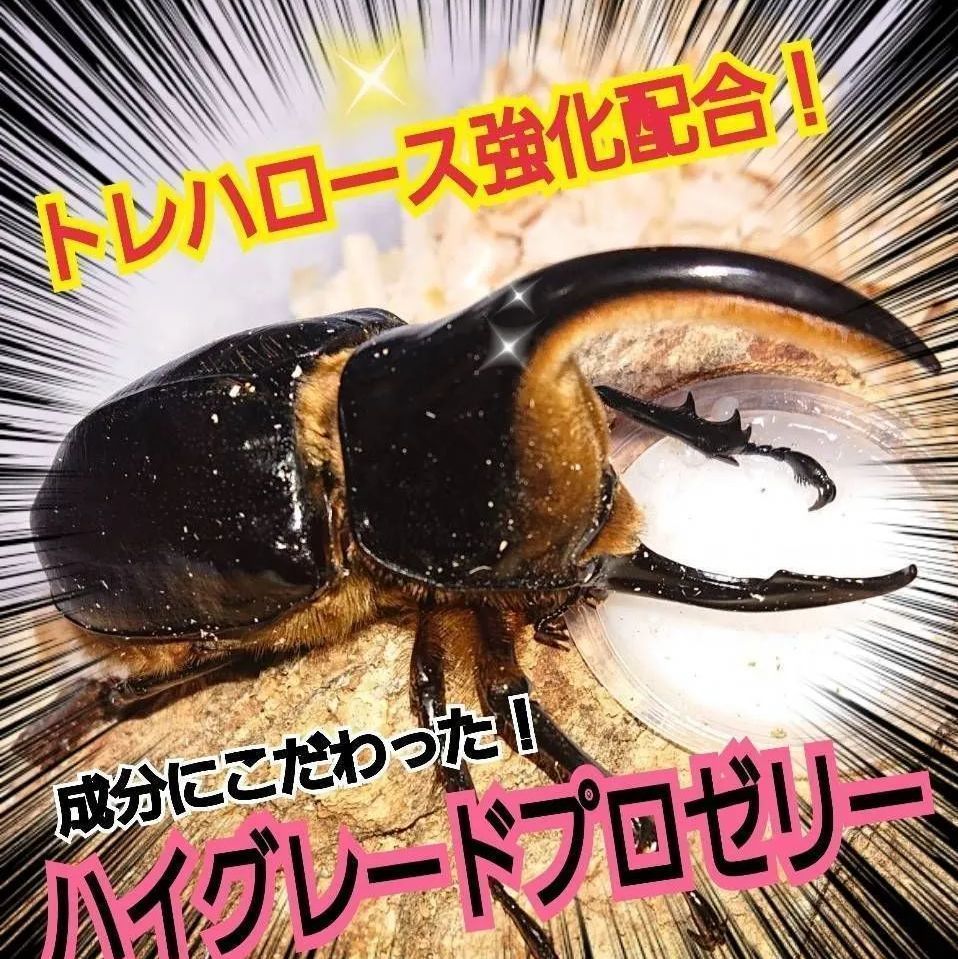 KBファーム すこやかゼリー 16g 30個 カブトムシ クワガタ 昆虫 - 昆虫