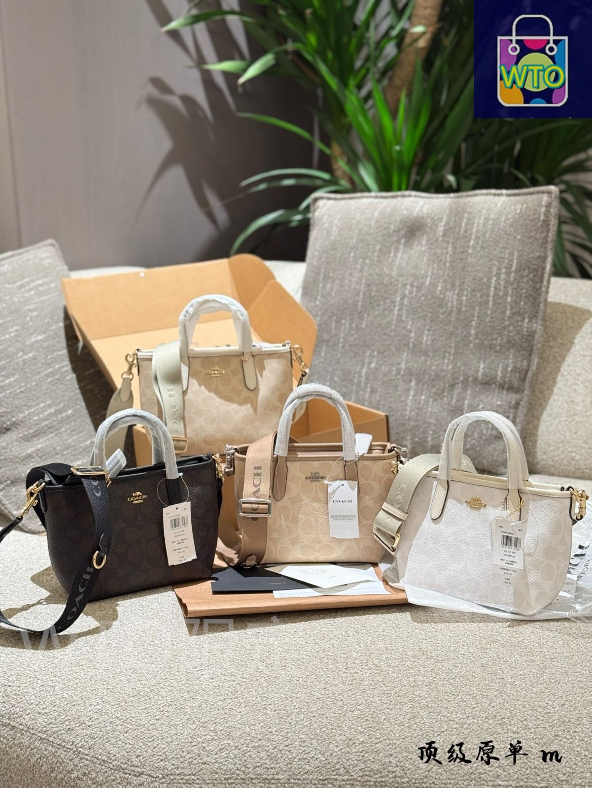 チョークホワイト