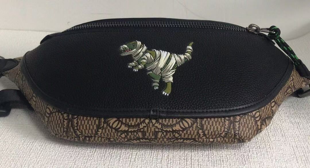 ◇新品◇COACHバッグ C6928 レキシー コーチ Xマイケル ジョーダン