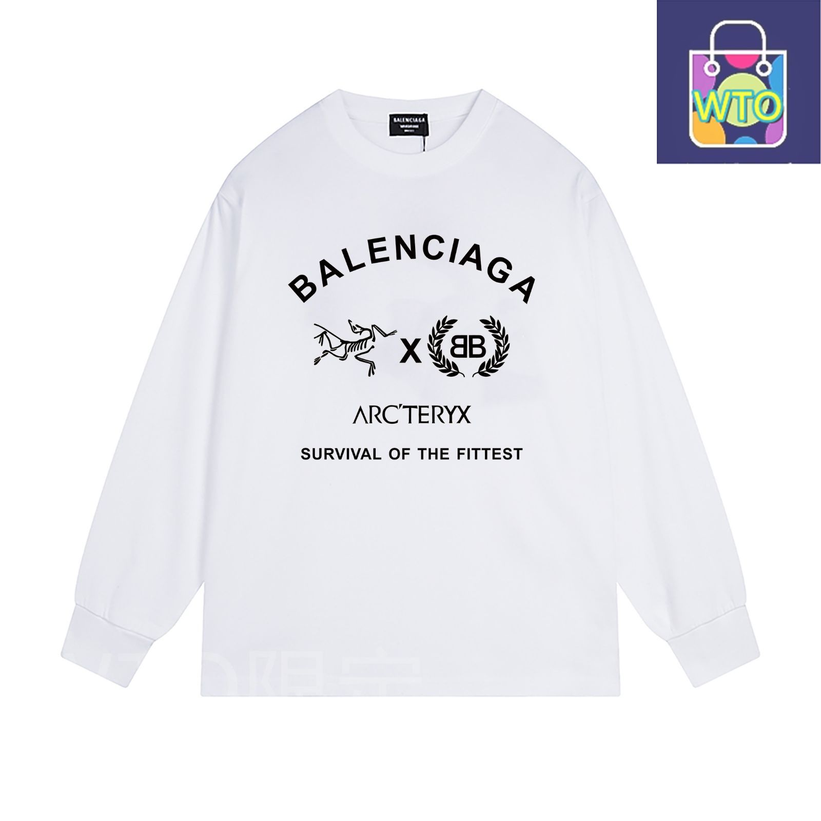本日限定特価】Balenciaga × 始祖鳥 コラボ ロングスリーブT