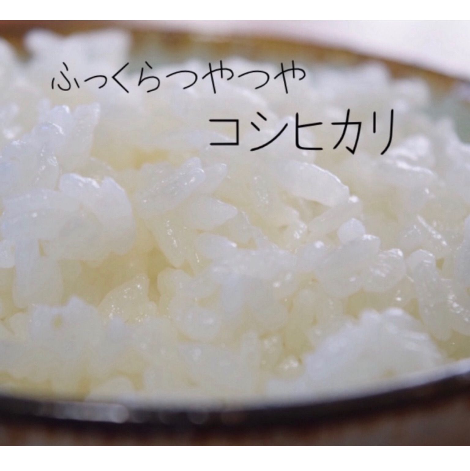 のサムネイル