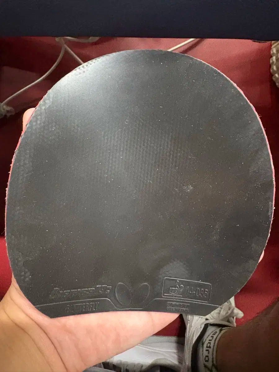 S レベル 2 腸 ディグニックス 09c レッドソード セット