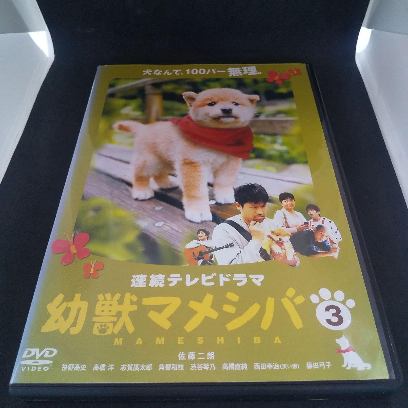 幼獣マメシバ 3 レンタル専用 中古 DVD ケース付き - メルカリ